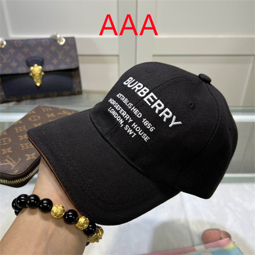 Burberry-Cap(AAA)-167