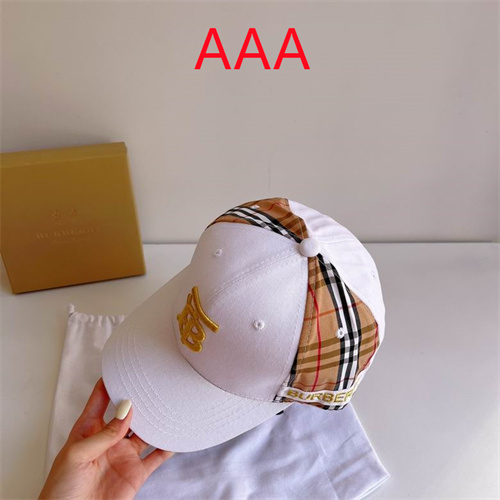 Burberry-Cap(AAA)-173