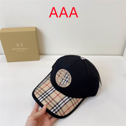 Burberry-Cap(AAA)-175
