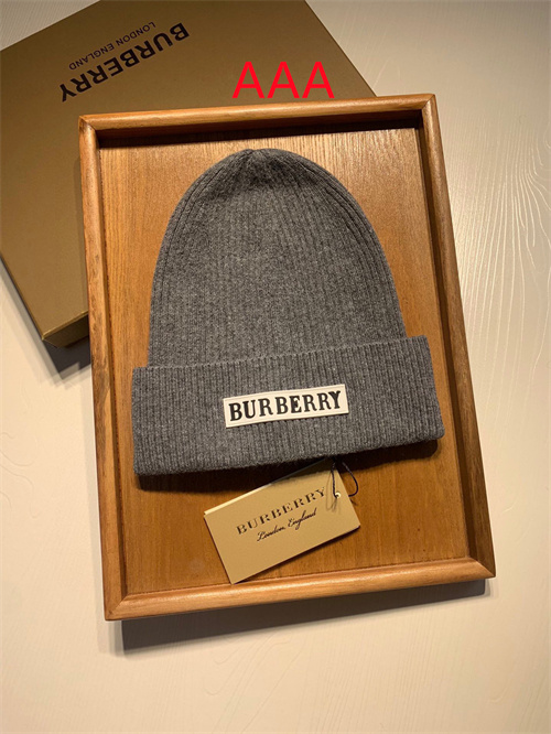 Buberry Beanies(AAA)-023
