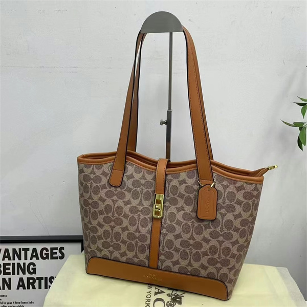 Coach bag-0115