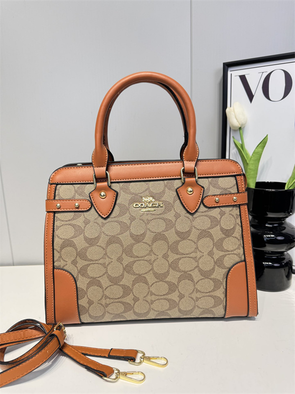 Coach bag-0118