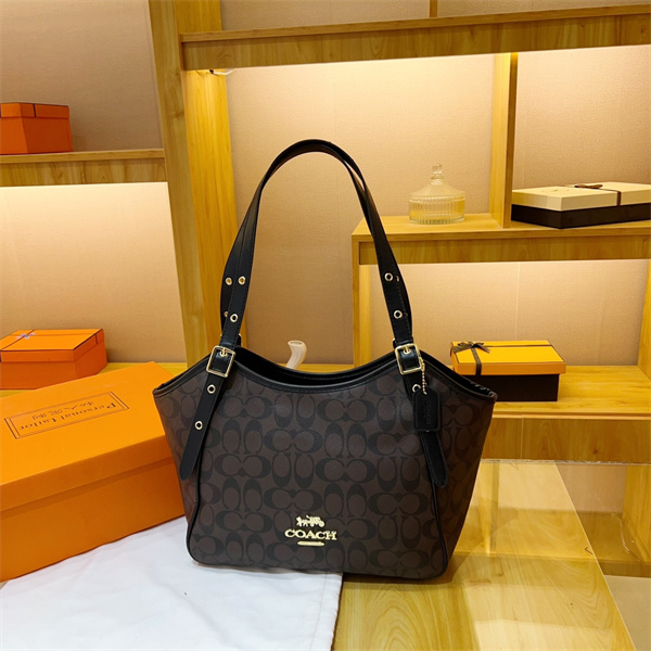 Coach bag-0134