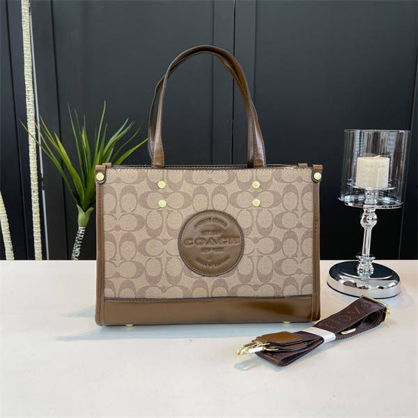 Coach bag-0141
