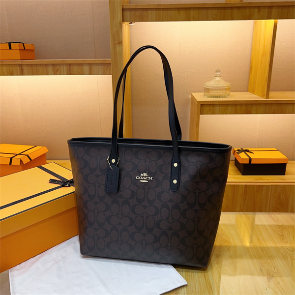 Coach bag-0148