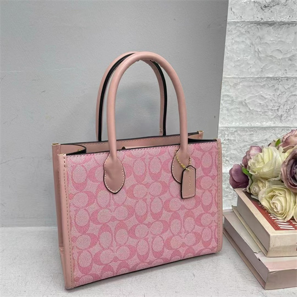 Coach bag-0152