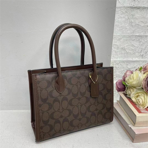 Coach bag-0156