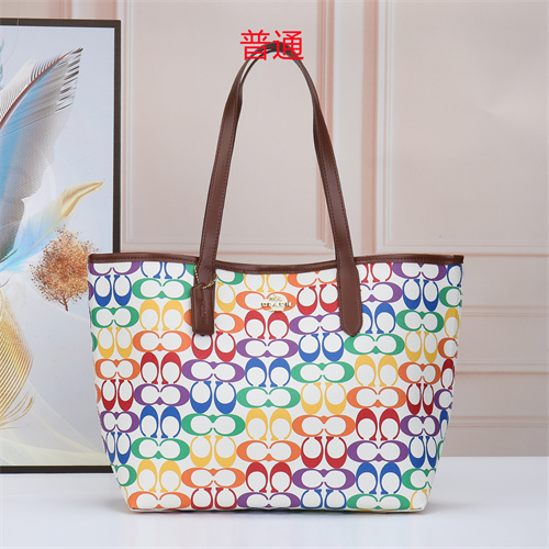 Coach bag-0018