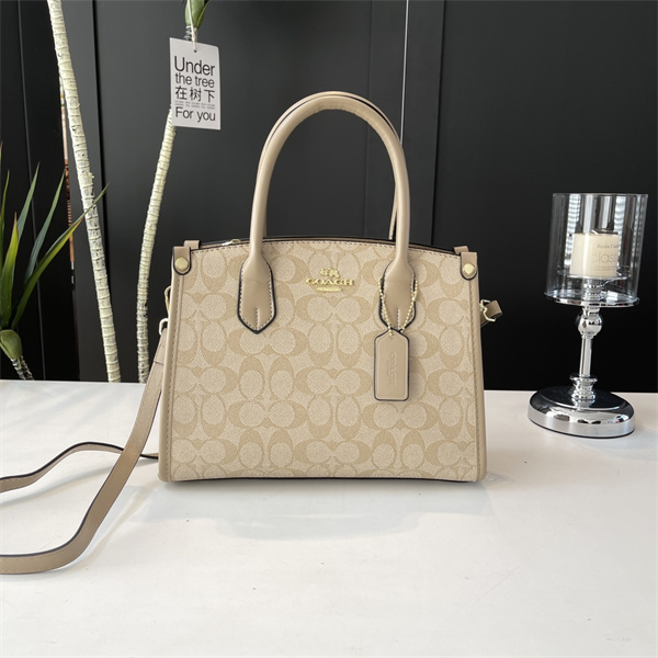 Coach bag-0184