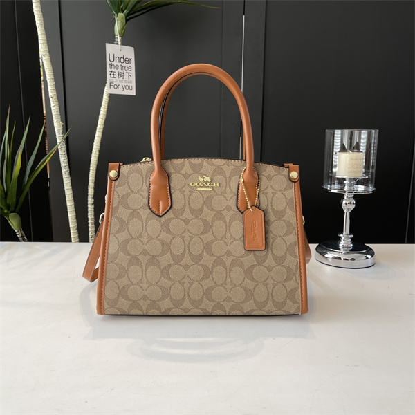 Coach bag-0185