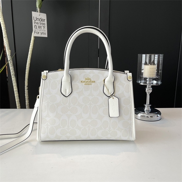 Coach bag-0186