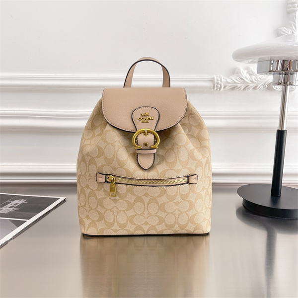 Coach bag-0214