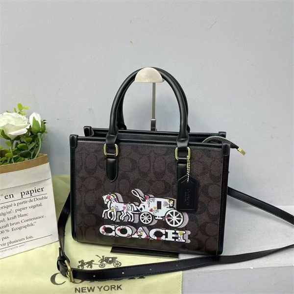Coach bag-0224