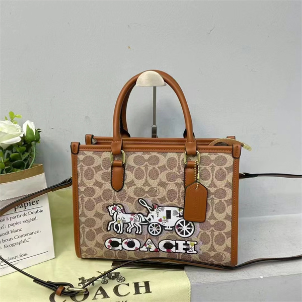 Coach bag-0228