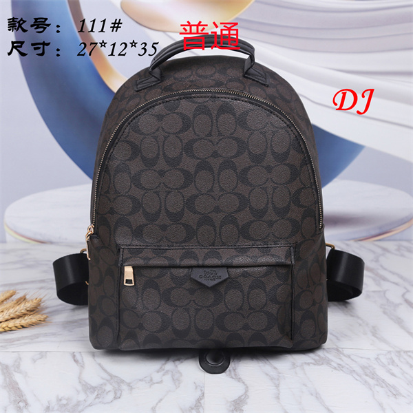 Coach bag-0023