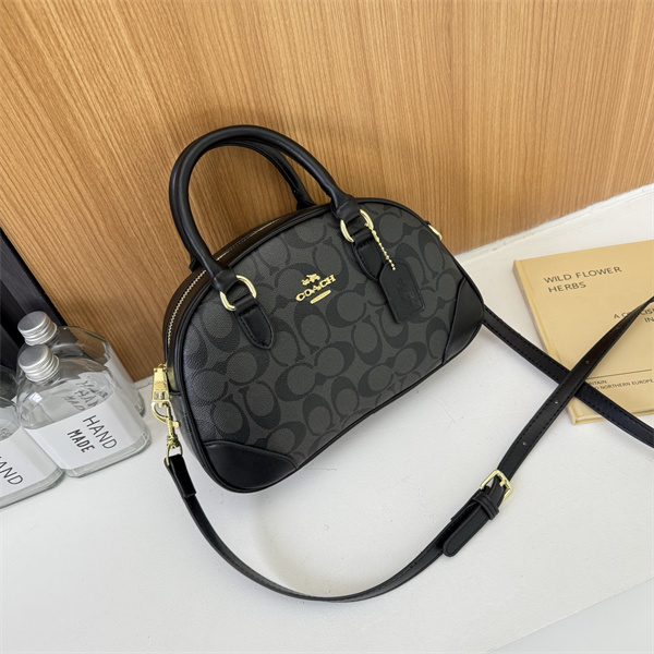 Coach bag-0239