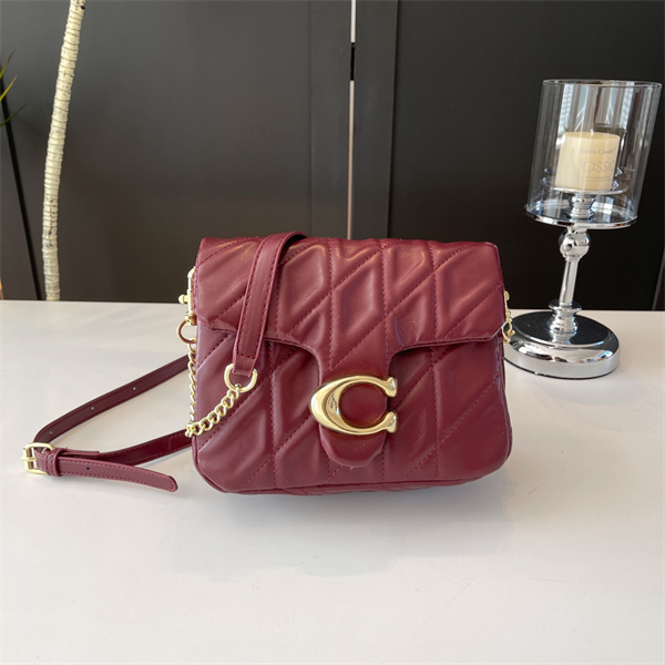 Coach bag-0244