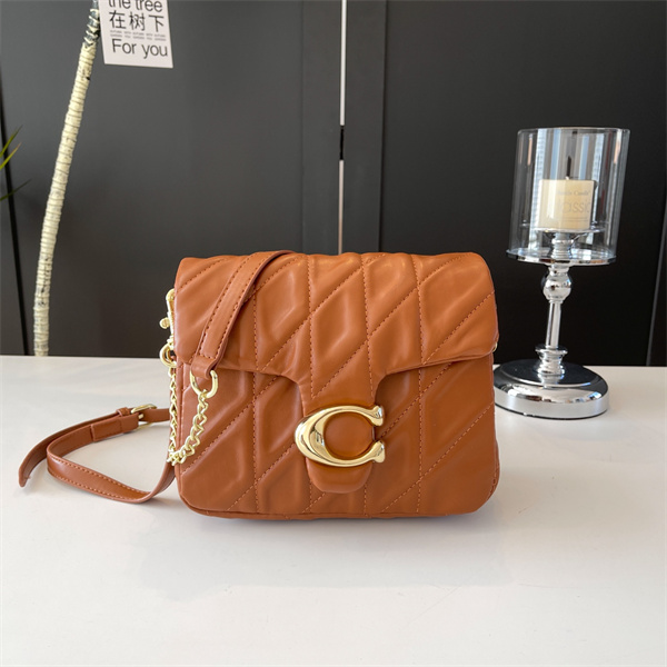 Coach bag-0246