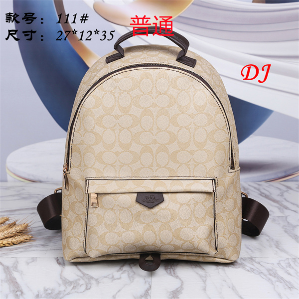 Coach bag-0025