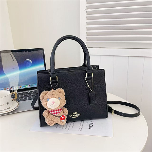 Coach bag-0253