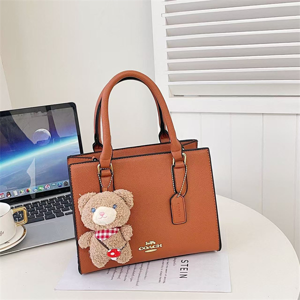 Coach bag-0256