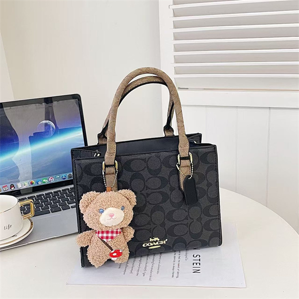 Coach bag-0257
