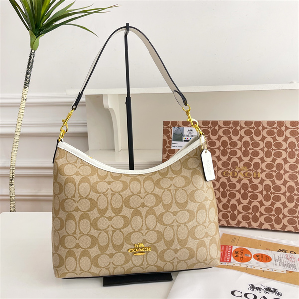 Coach bag-0265