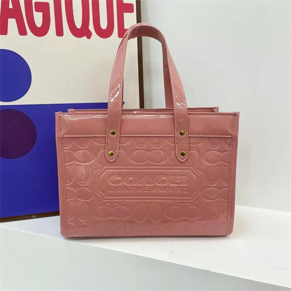 Coach bag-0279