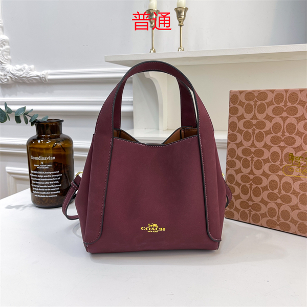 Coach bag-0295
