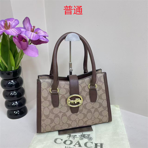 Coach bag-0296
