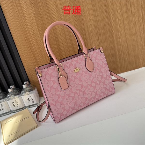 Coach bag-0301