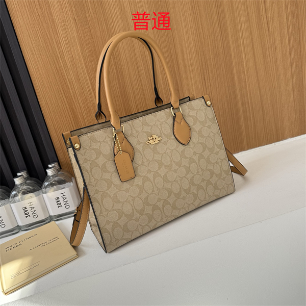 Coach bag-0304