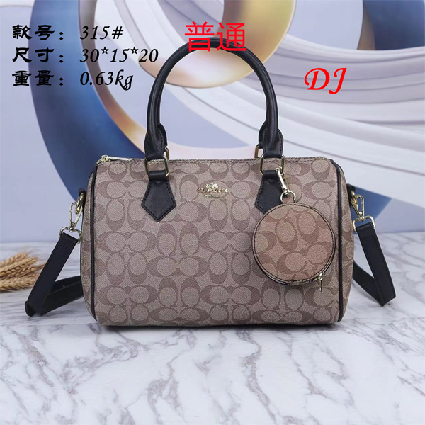Coach bag-0031