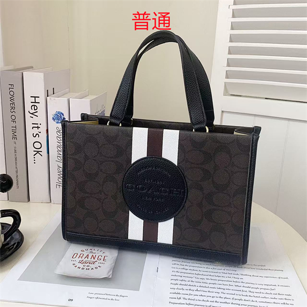 Coach bag-0310
