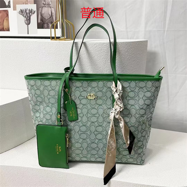 Coach bag-0328