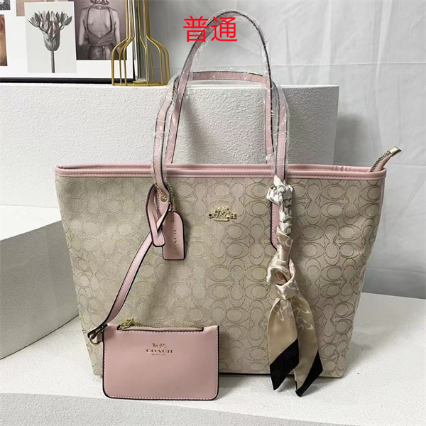 Coach bag-0331