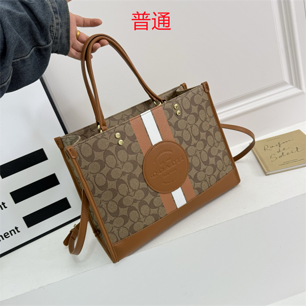 Coach bag-0335