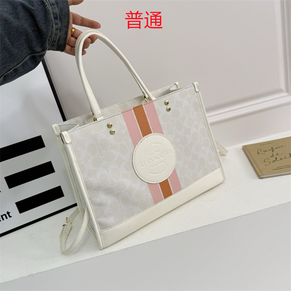 Coach bag-0337
