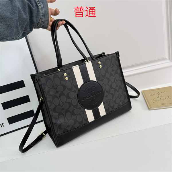 Coach bag-0338