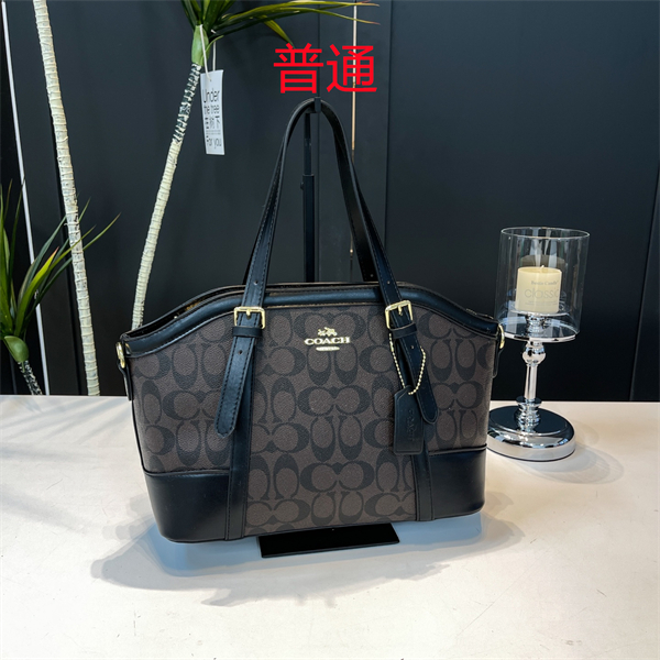 Coach bag-0347