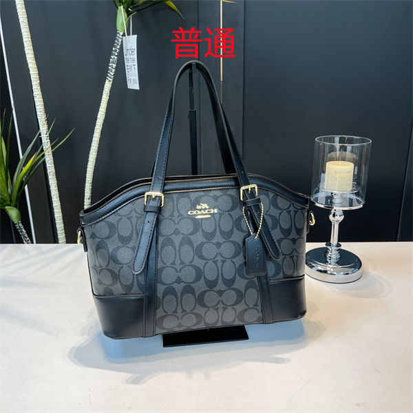 Coach bag-0348