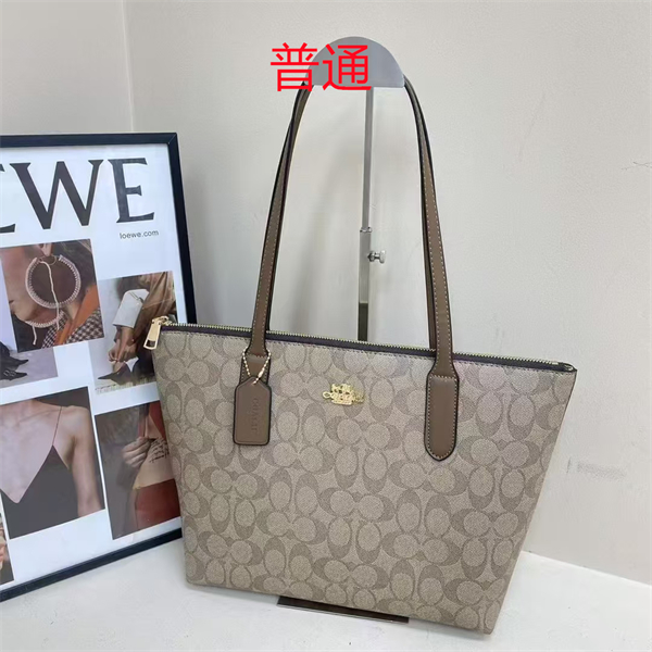 Coach bag-0355