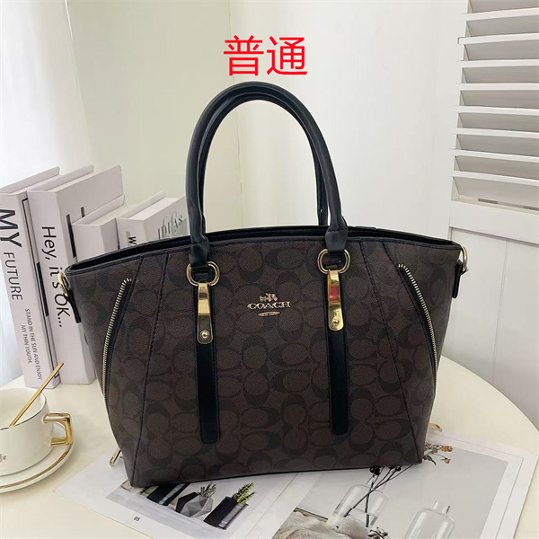 Coach bag-0371