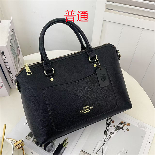 Coach bag-0372
