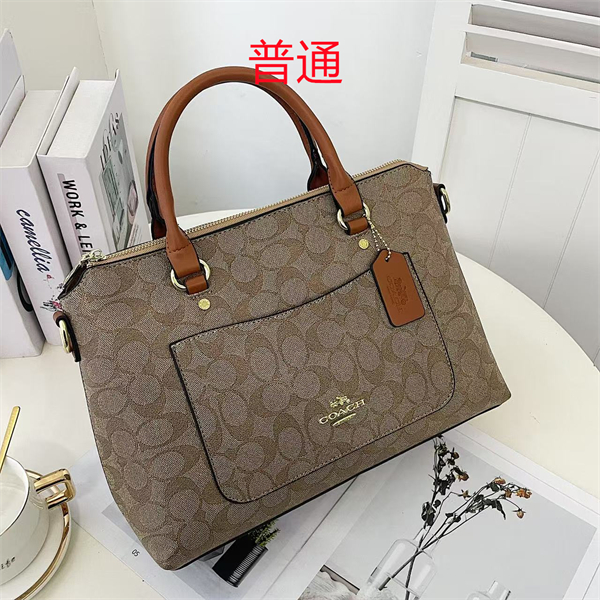 Coach bag-0378
