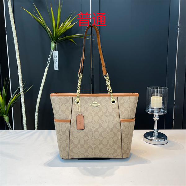 Coach bag-0384