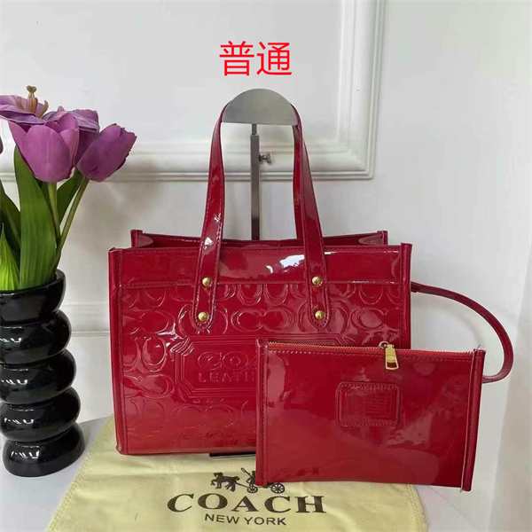 Coach bag-0397