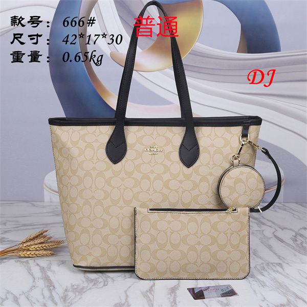 Coach bag-0040