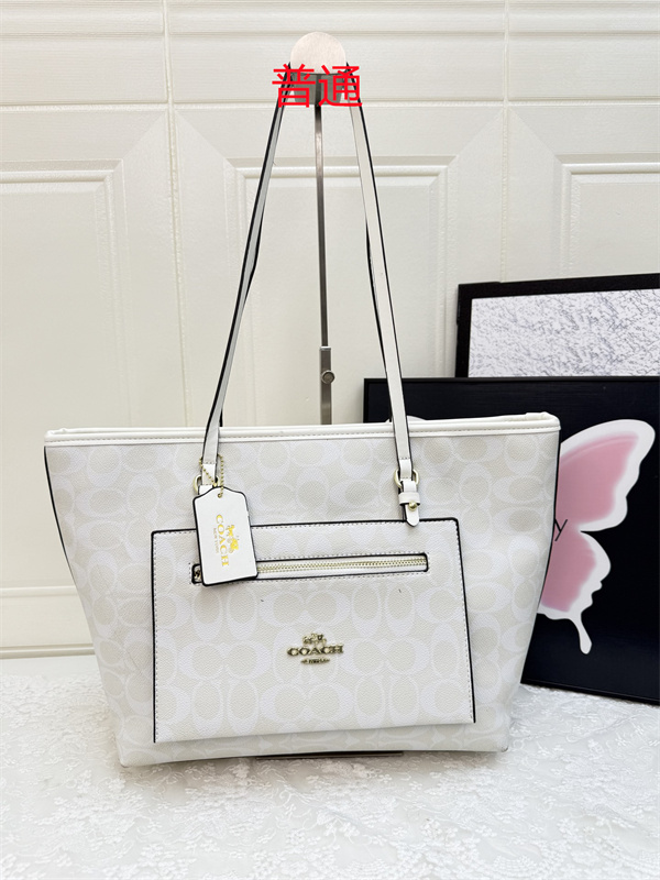 Coach bag-0408