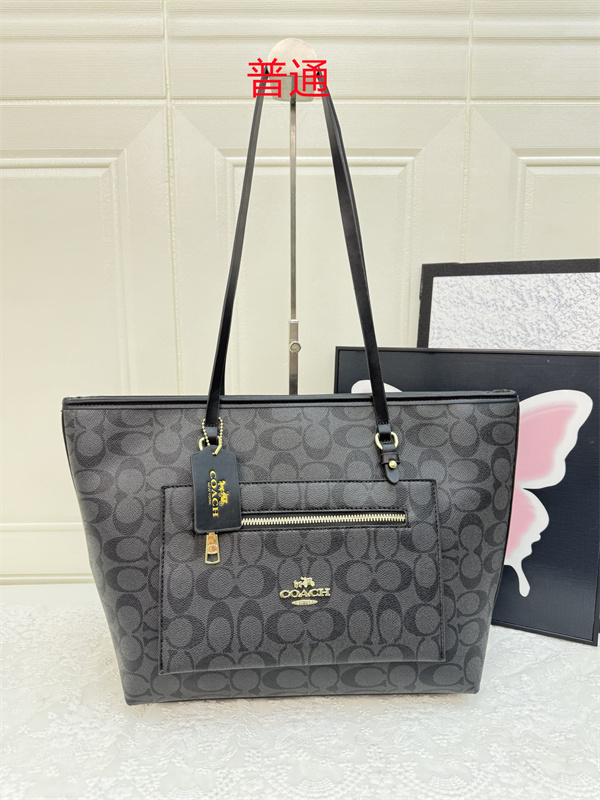 Coach bag-0409